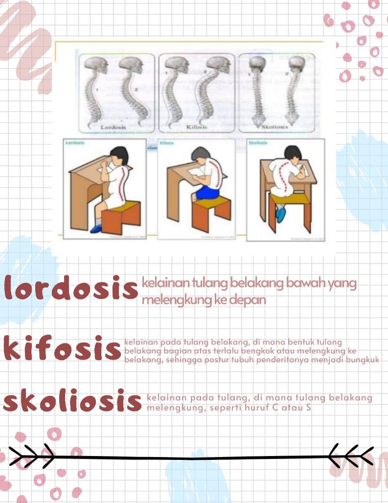 Sampul